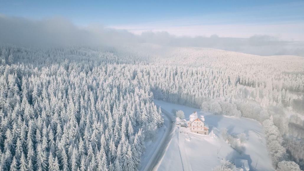 Przystanek Alaska Zieleniec  Exterior photo